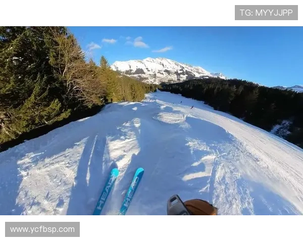 单板滑雪瑞士世界杯（瑞士滑雪单板还是双板）sports